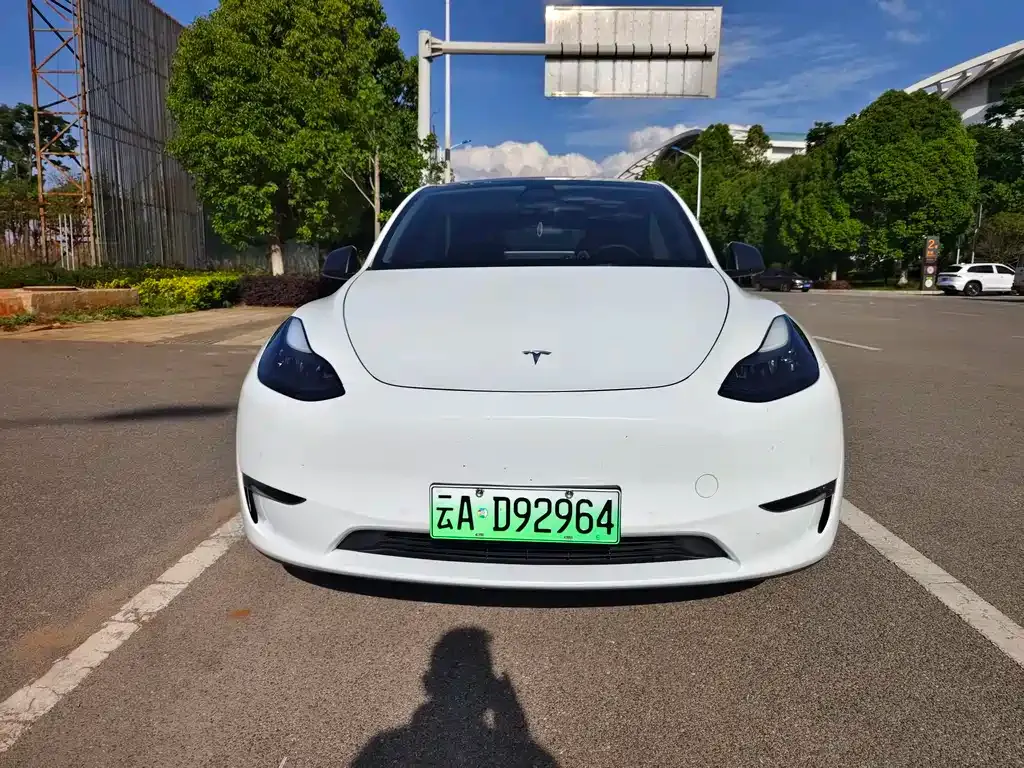 Tesla Model Y — фото 8