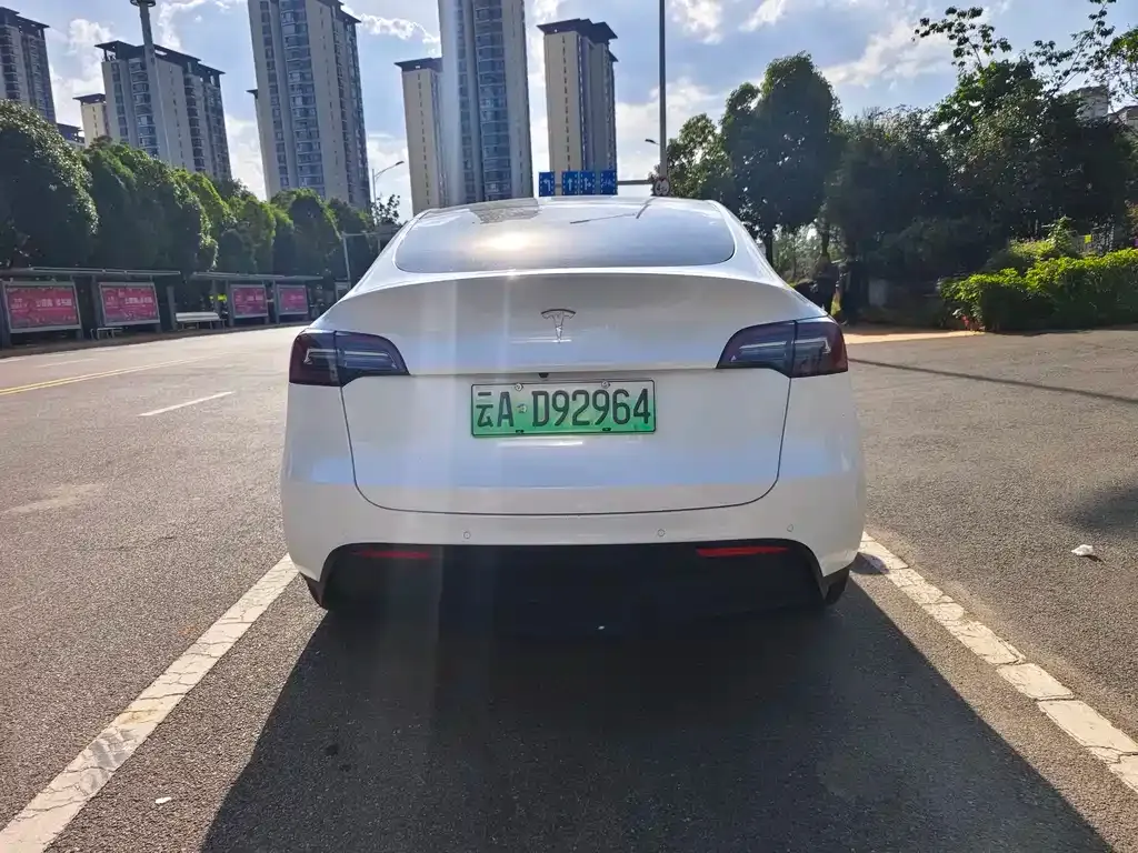 Tesla Model Y — фото 6