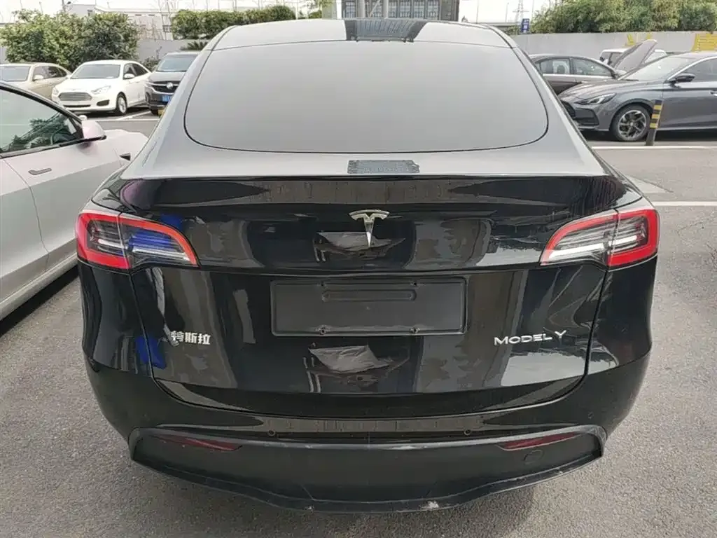 Tesla Model Y — фото 4