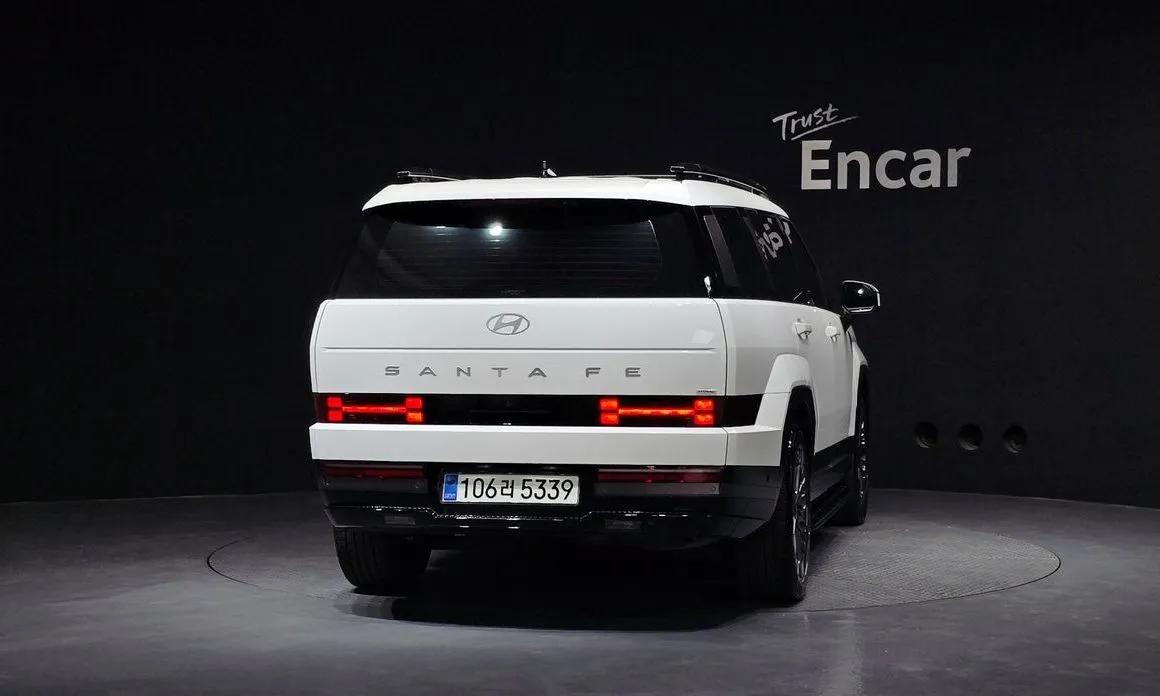 Hyundai Santafe 2025 из KR, фото 6
