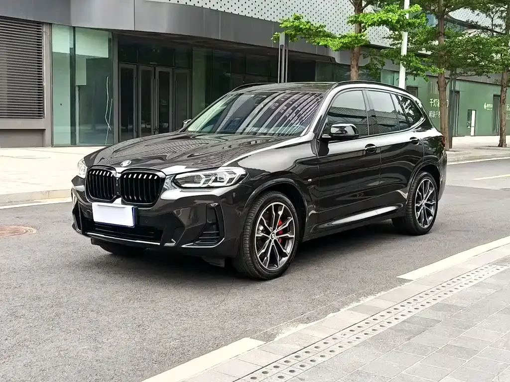 BMW X3 — фото 1