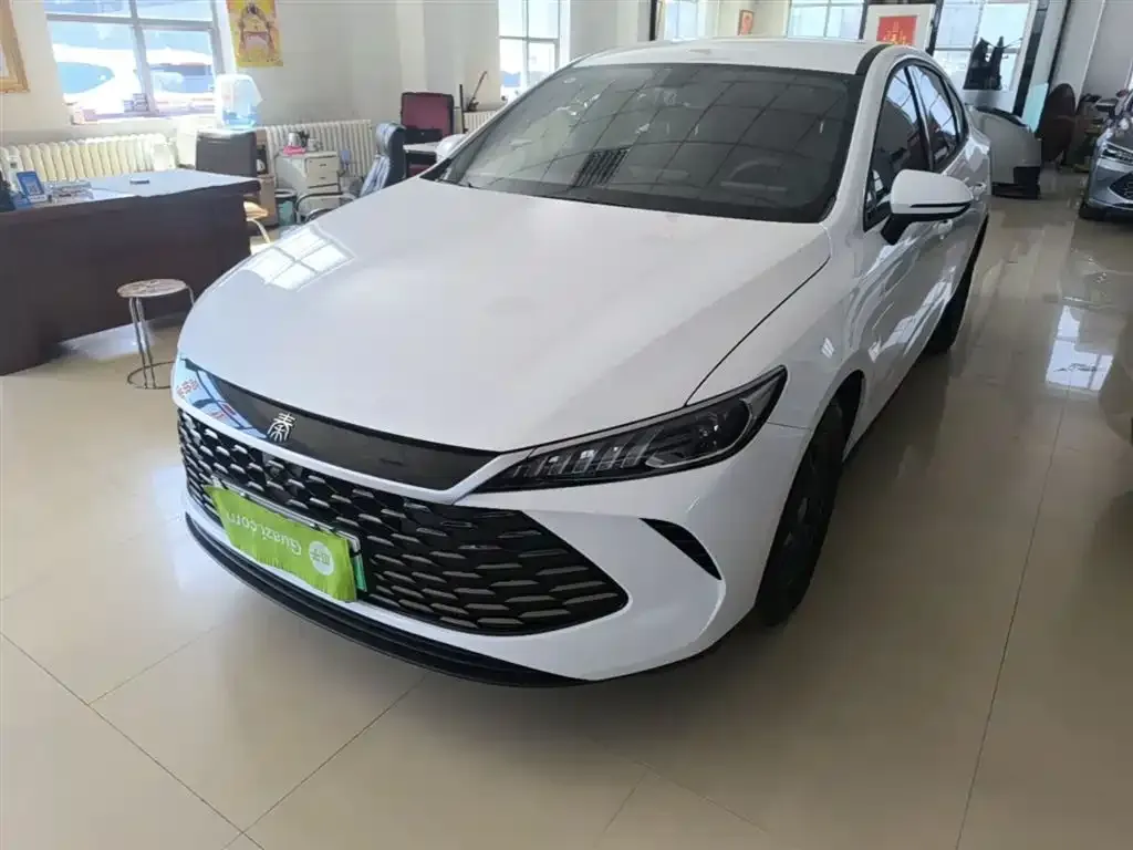 BYD Qin PLUS — фото 4