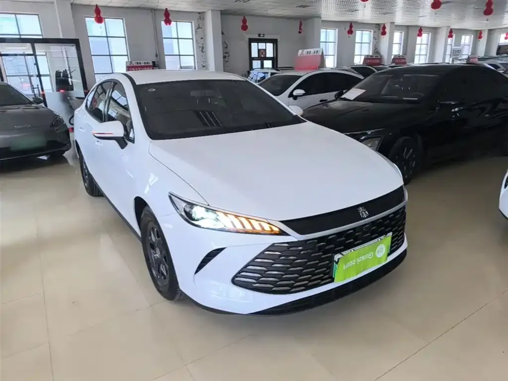 BYD Qin PLUS — фото 8
