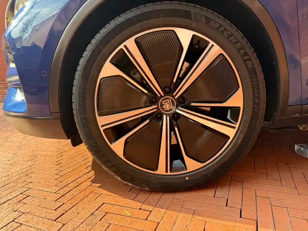 BYD Tang New Energy — фото 10