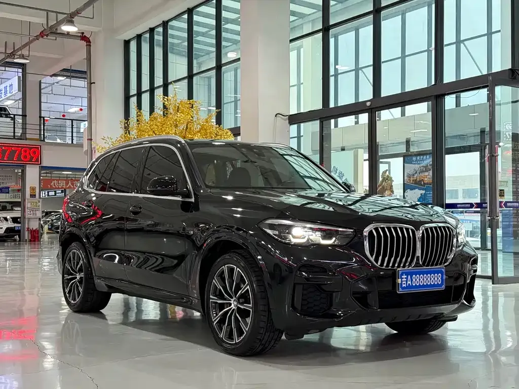 BMW X5 (Import) — фото 3
