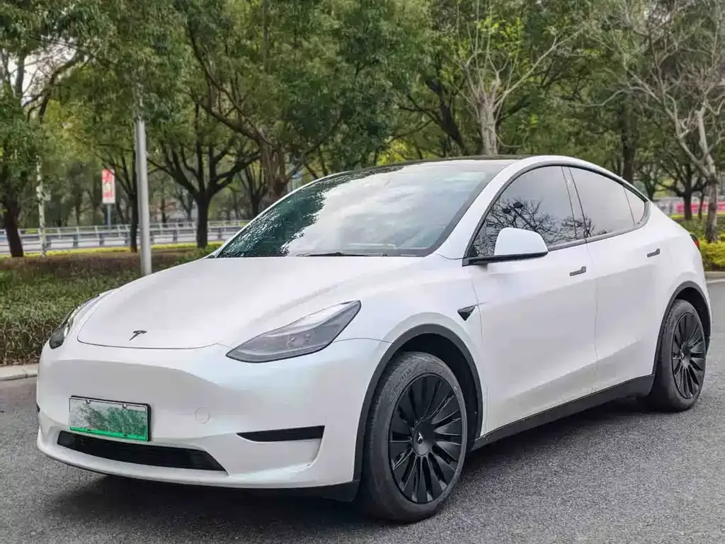 Tesla Model Y — фото 1