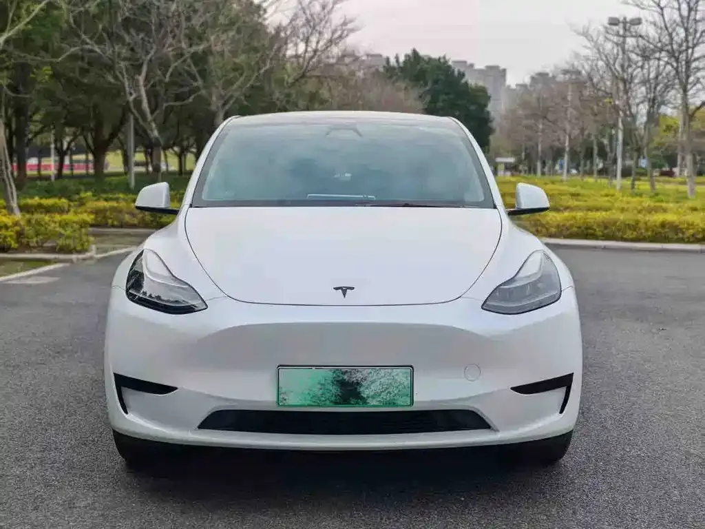 Tesla Model Y — фото 8