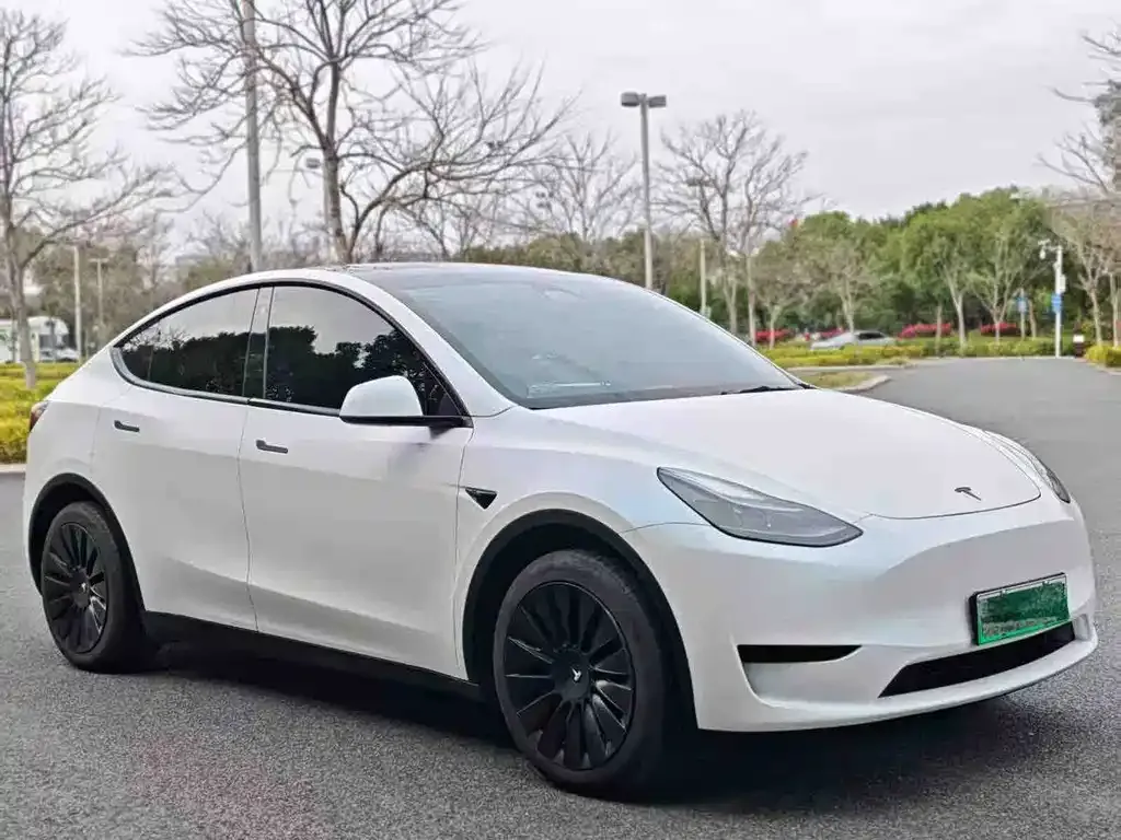 Tesla Model Y — фото 6