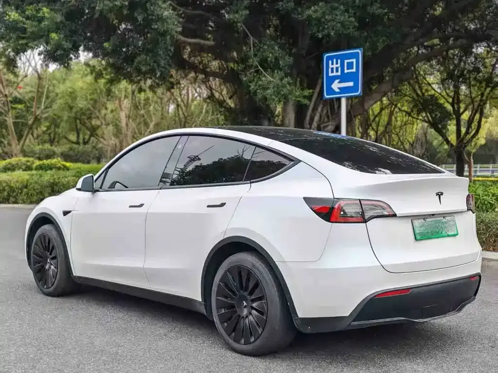Tesla Model Y — фото 3