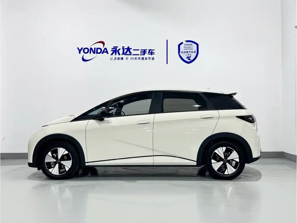 BYD Dolphin 2023 из CN, фото 3