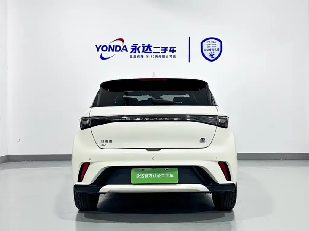 BYD Dolphin 2023 из CN, фото 7