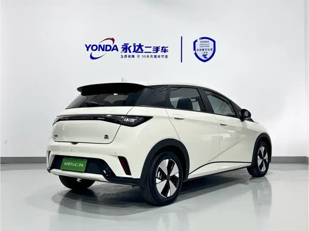 BYD Dolphin 2023 из CN, фото 4