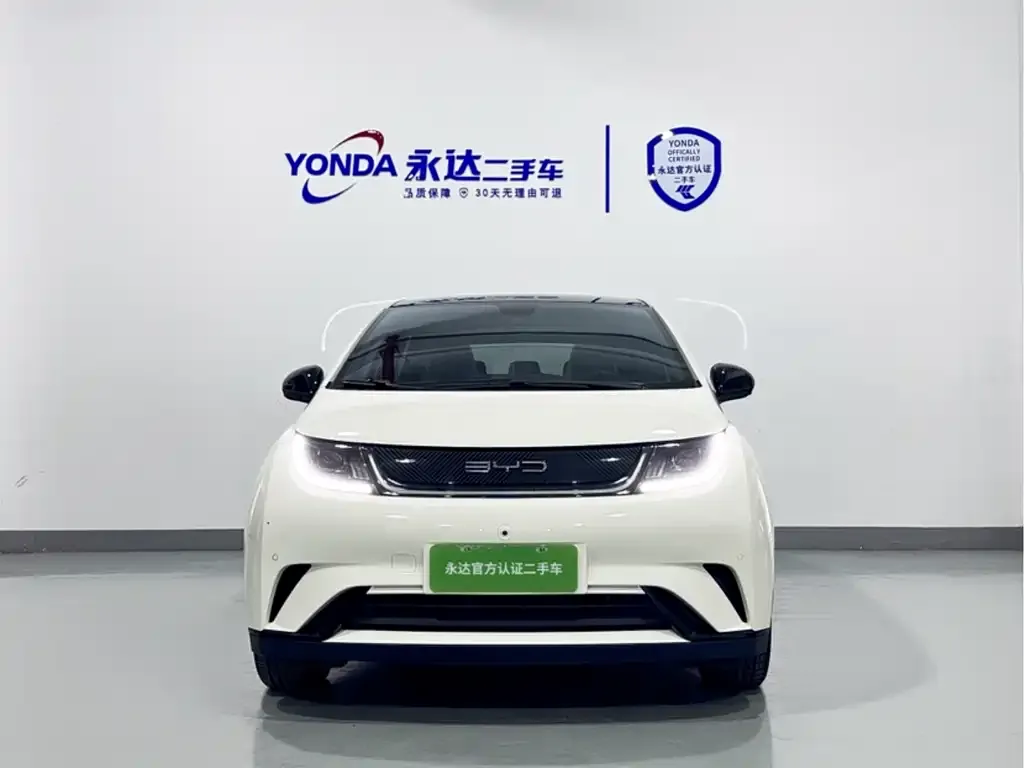 BYD Dolphin 2023 из CN, фото 2
