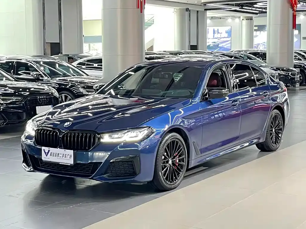BMW 5 Series 2021 из CN, фото 1
