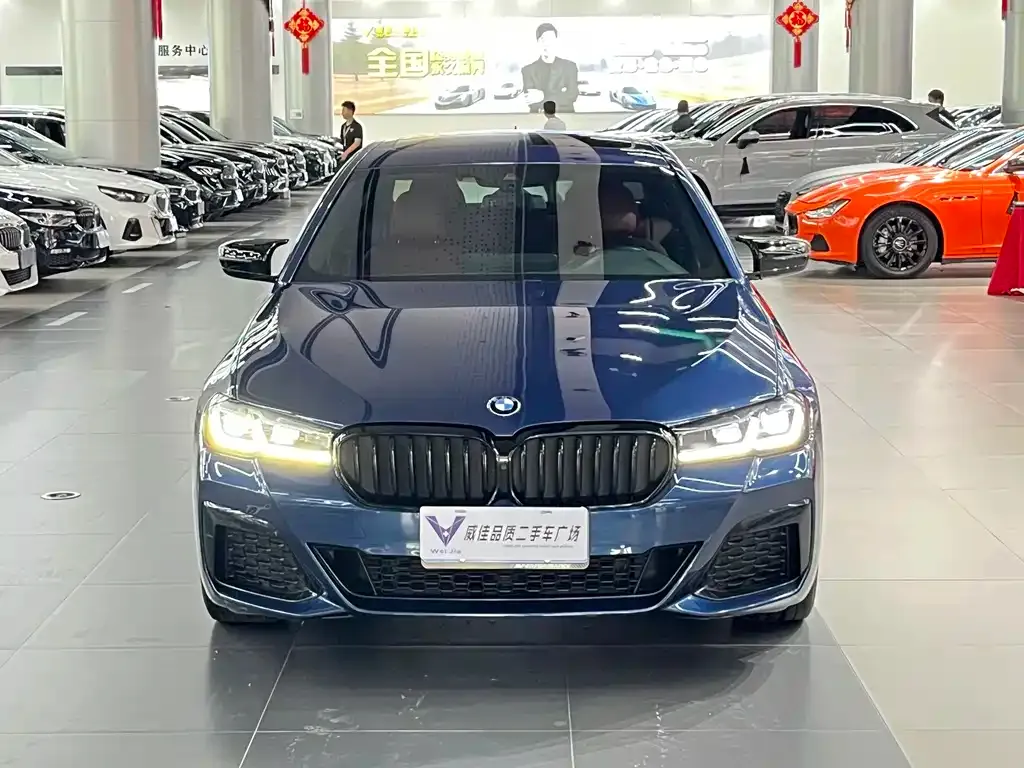 BMW 5 Series 2021 из CN, фото 5