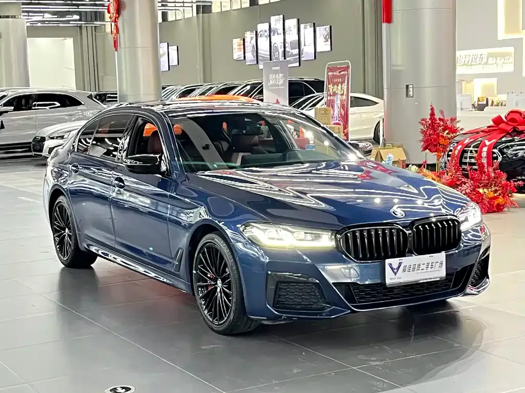 BMW 5 Series 2021 из CN, фото 8
