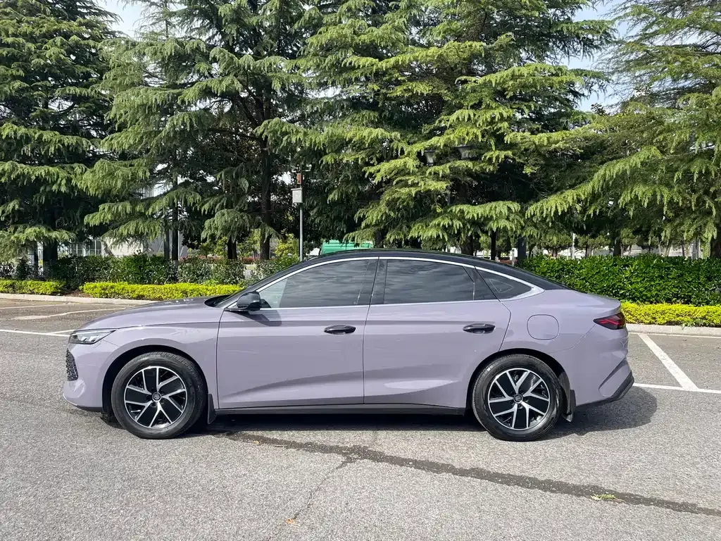 BYD Qin L — фото 10