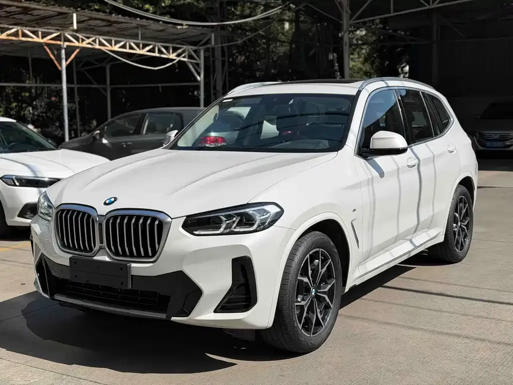 BMW X3 — фото 1