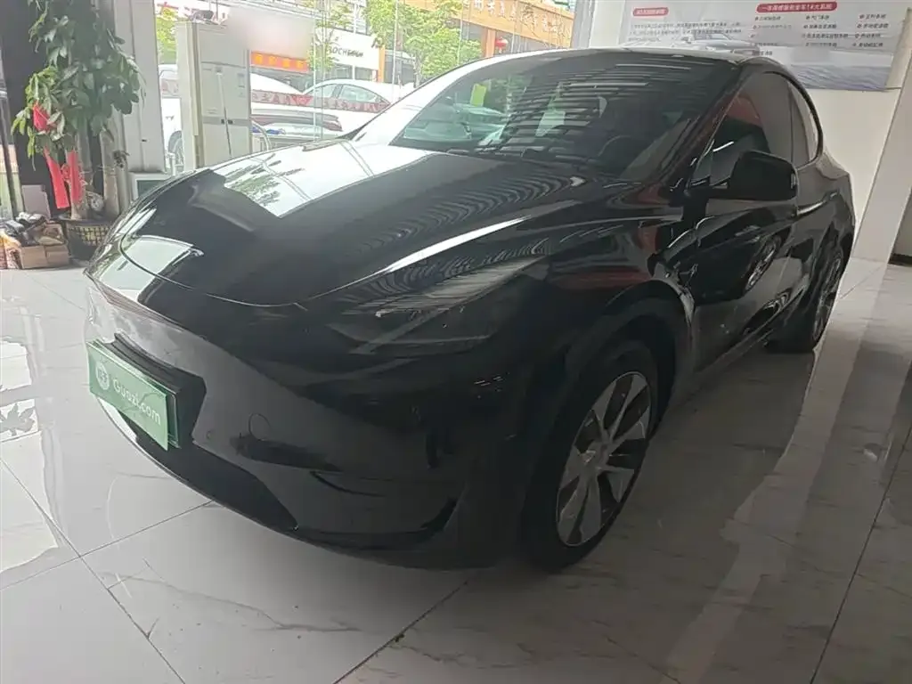Tesla Model Y — фото 5