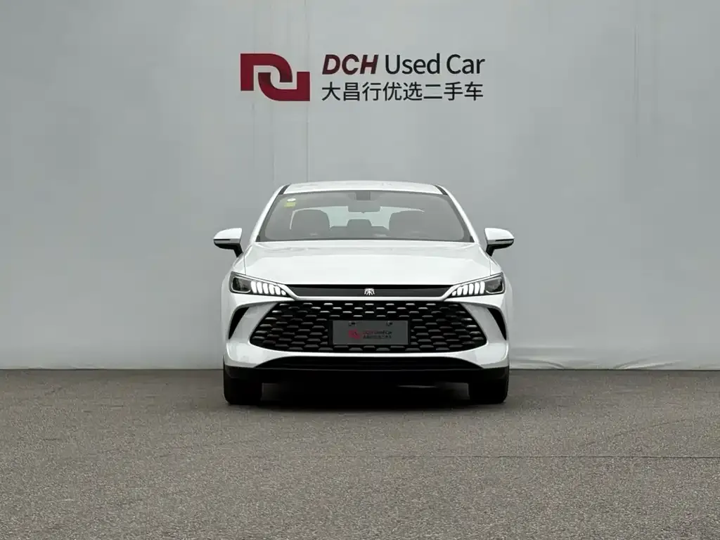 BYD Qin PLUS — фото 5