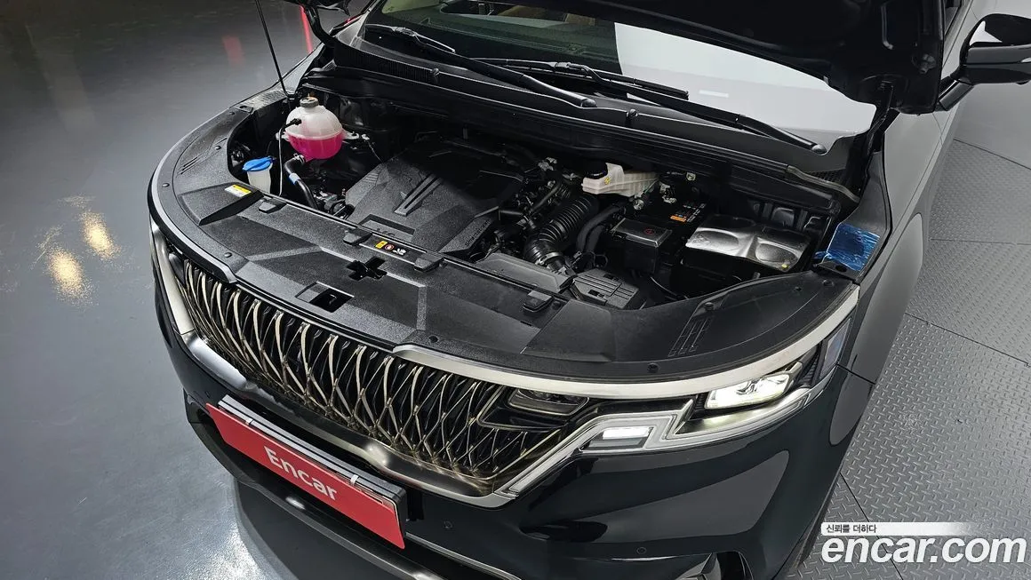 Kia Carnival — фото 10