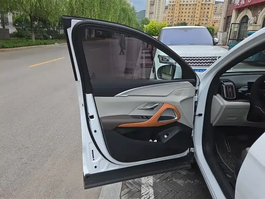 BYD Pro New Energy — фото 10