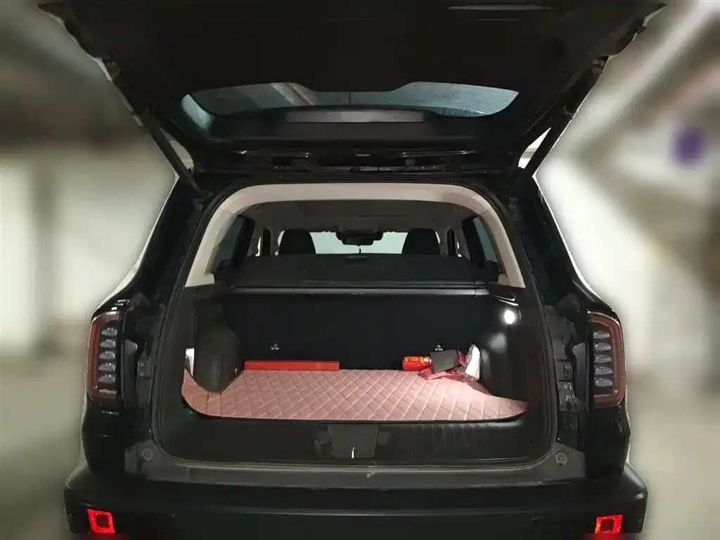 Haval Big Dog 2022 из CN, фото 6