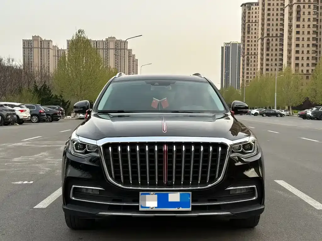 Hongqi HS7 2023 из CN, фото 8
