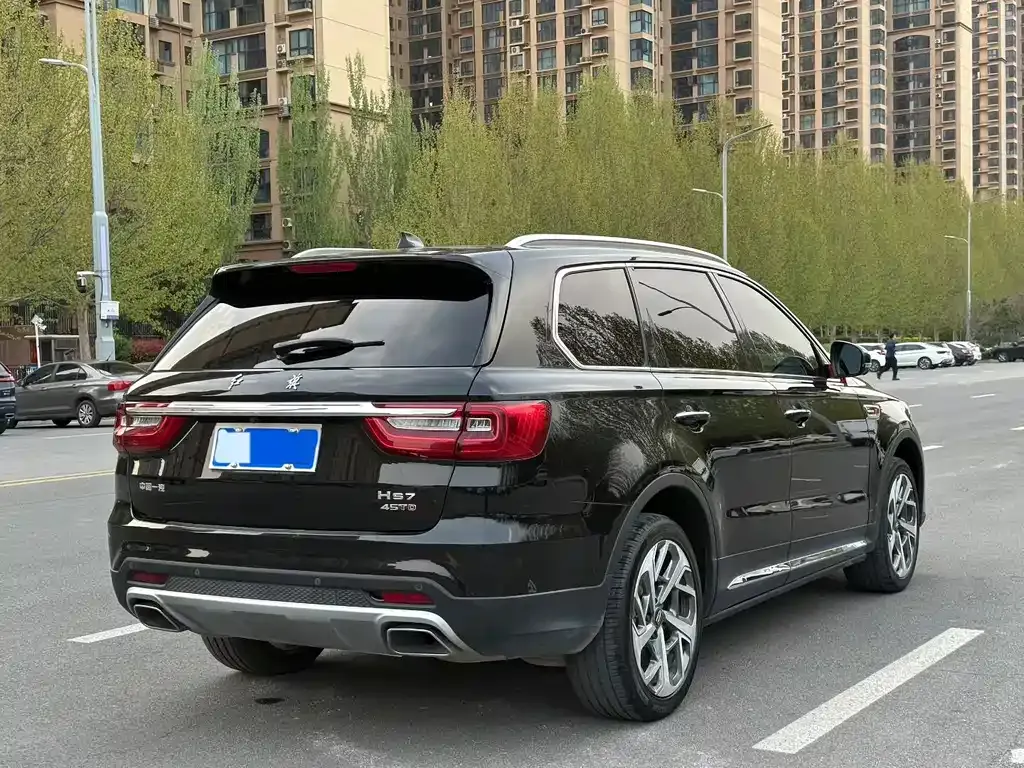 Hongqi HS7 2023 из CN, фото 9