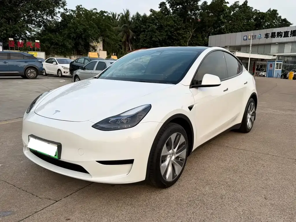 Tesla Model Y — фото 1
