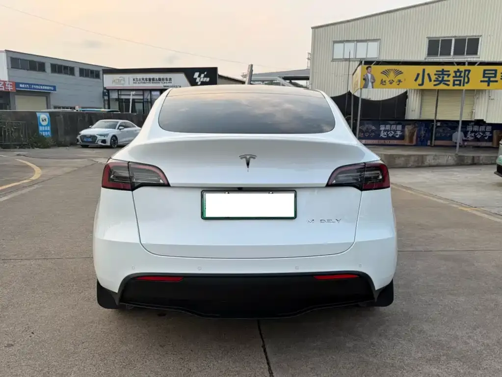 Tesla Model Y — фото 5
