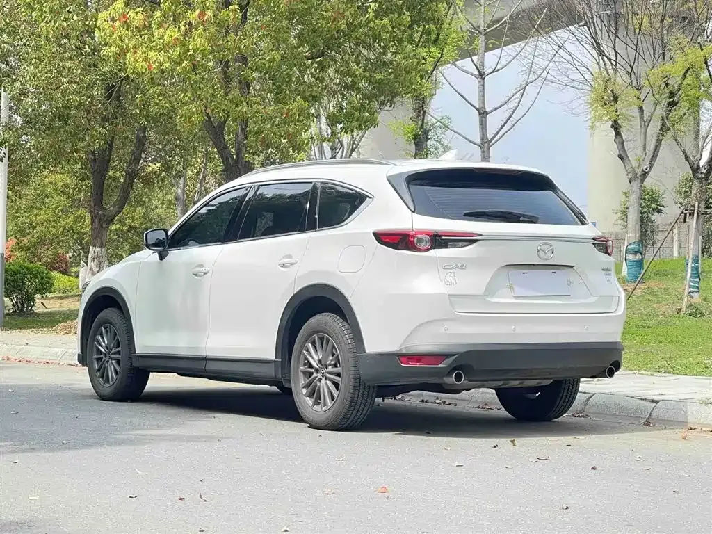 Mazda CX-8 2021 из CN, фото 4