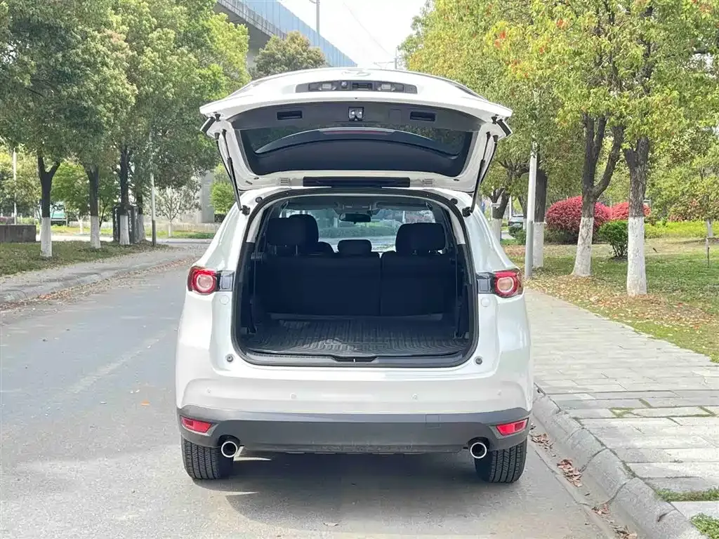 Mazda CX-8 2021 из CN, фото 8