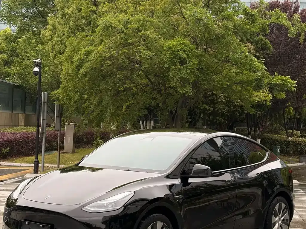 Tesla Model Y 2023 из CN, фото 1