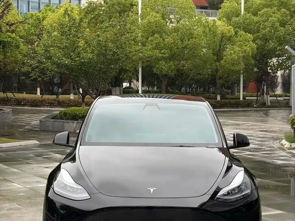 Tesla Model Y 2023 из CN, фото 10