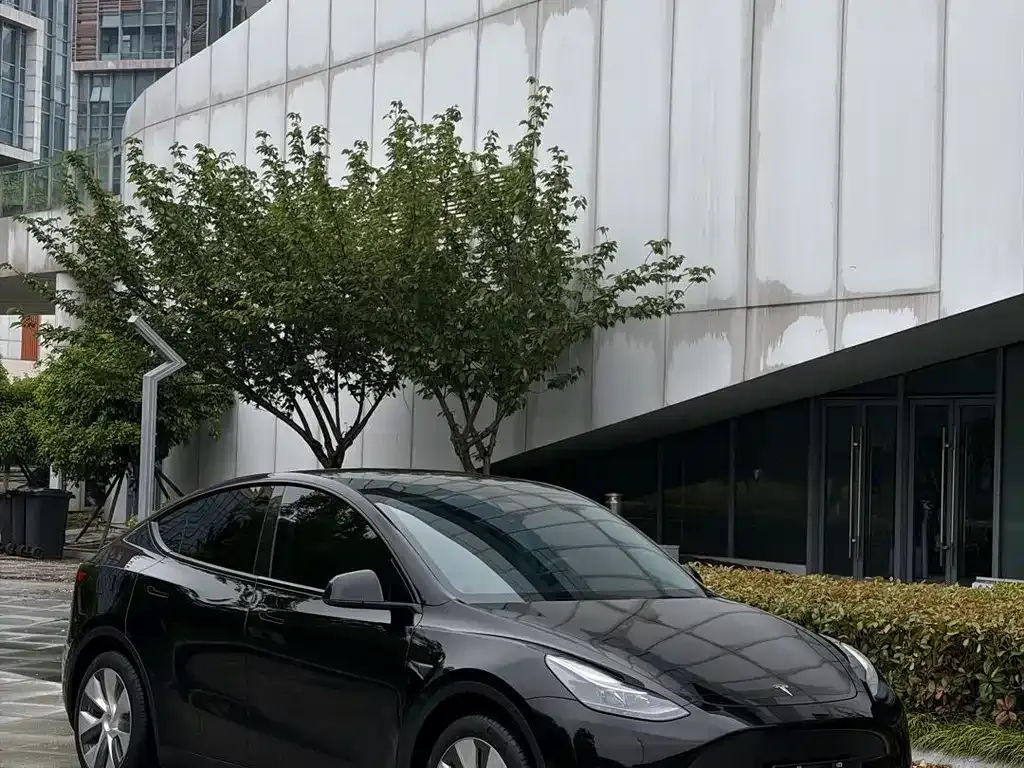 Tesla Model Y 2023 из CN, фото 8
