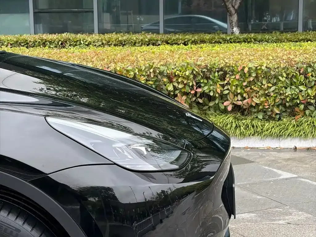 Tesla Model Y 2023 из CN, фото 9