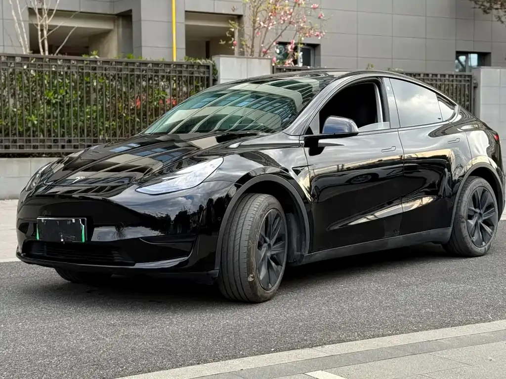 Tesla Model Y — фото 1