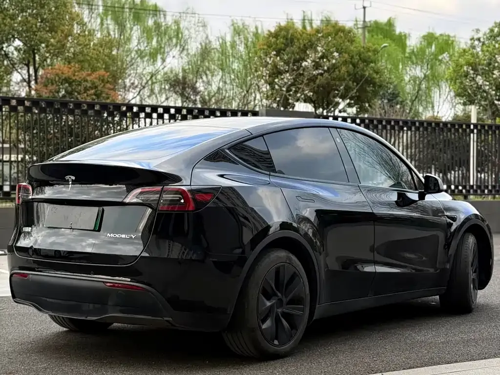 Tesla Model Y — фото 7