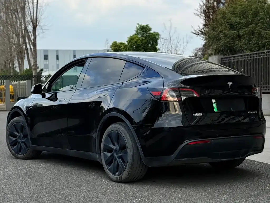 Tesla Model Y — фото 8