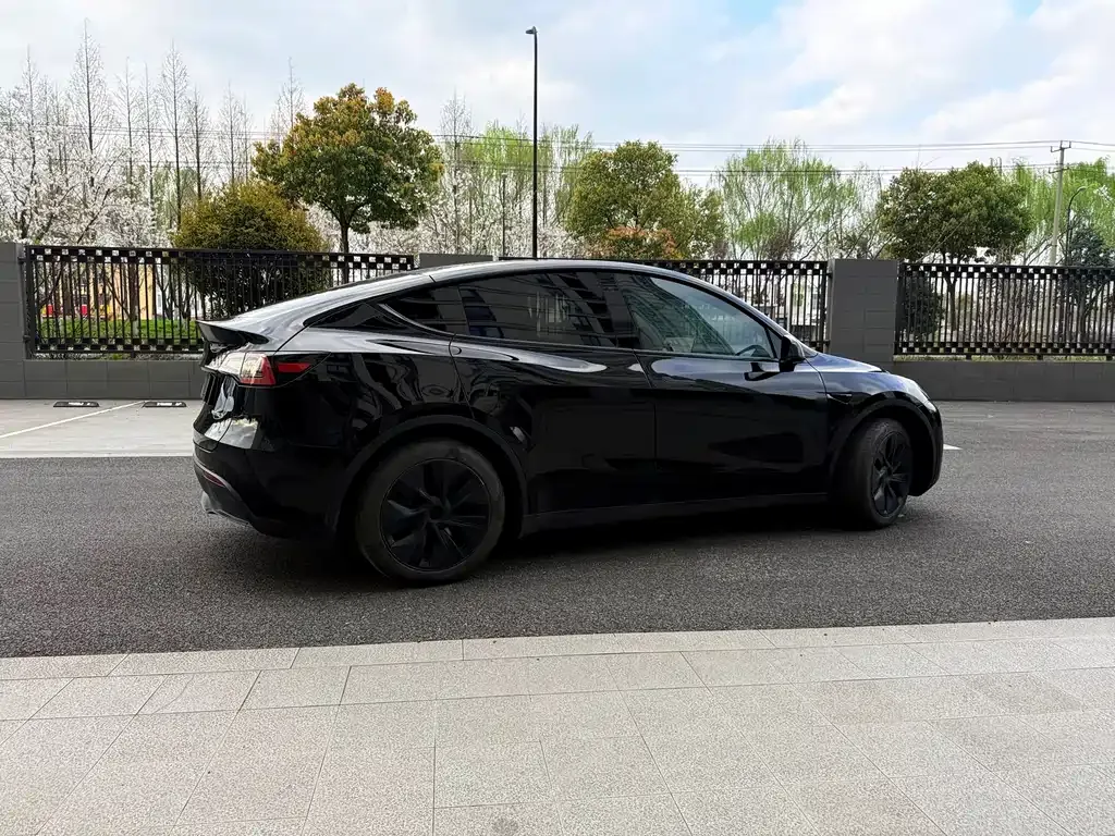 Tesla Model Y — фото 10
