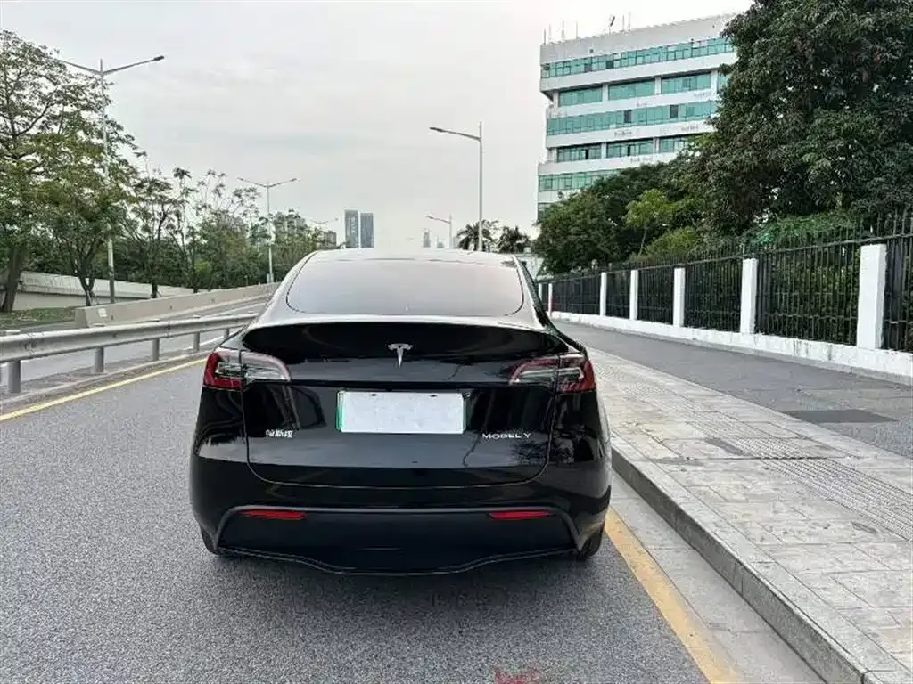 Tesla Model Y — фото 8