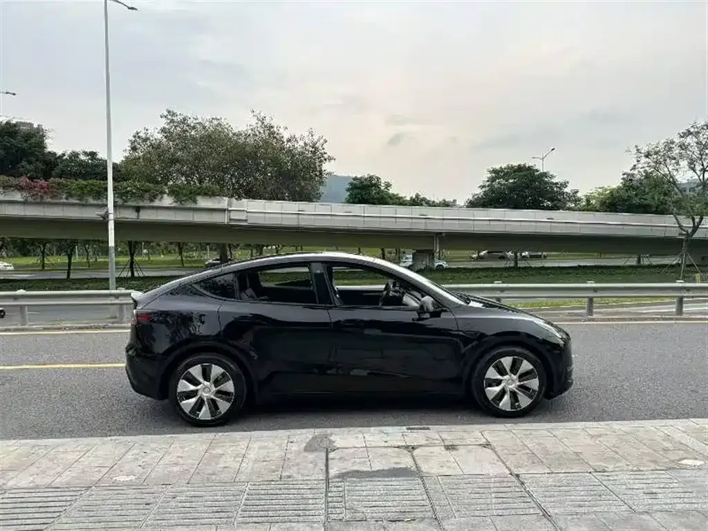 Tesla Model Y — фото 2
