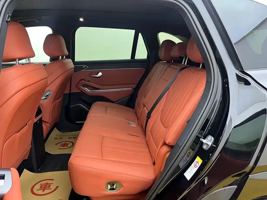 BYD Tang L 2025 из CN, фото 10