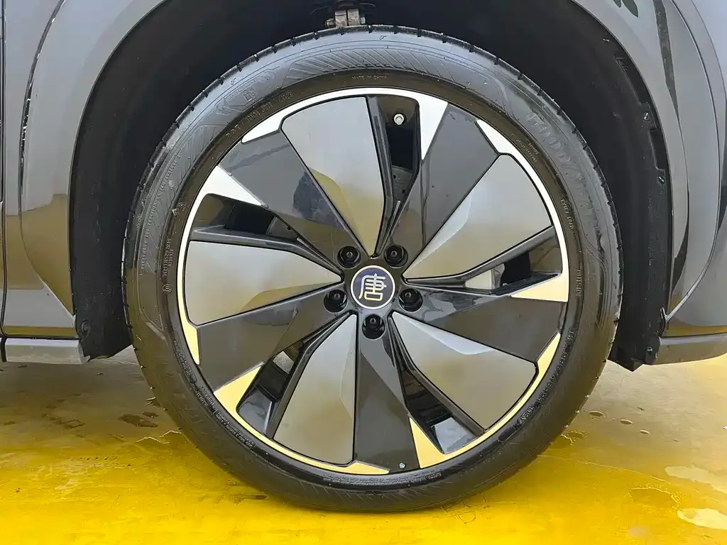 BYD Tang L 2025 из CN, фото 2