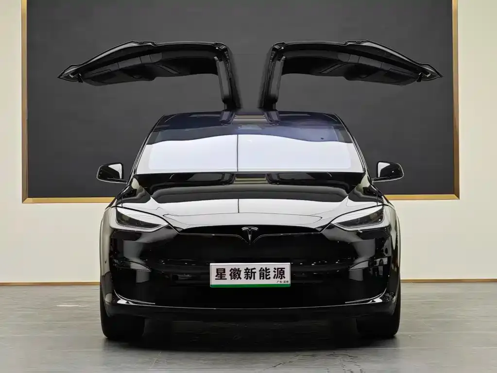 Tesla Model X 2024 из CN, фото 10