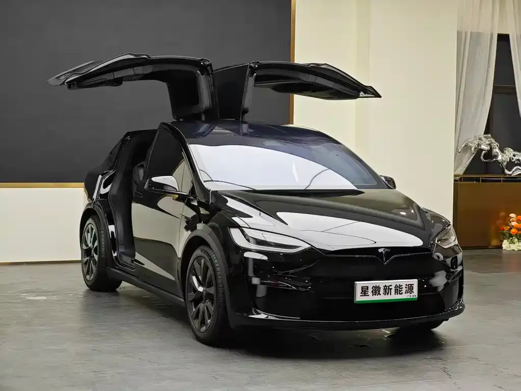 Tesla Model X 2024 из CN, фото 9