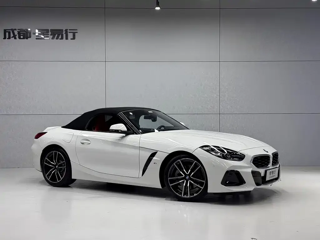 BMW Z4 — фото 8