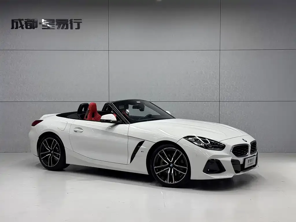 BMW Z4 — фото 10
