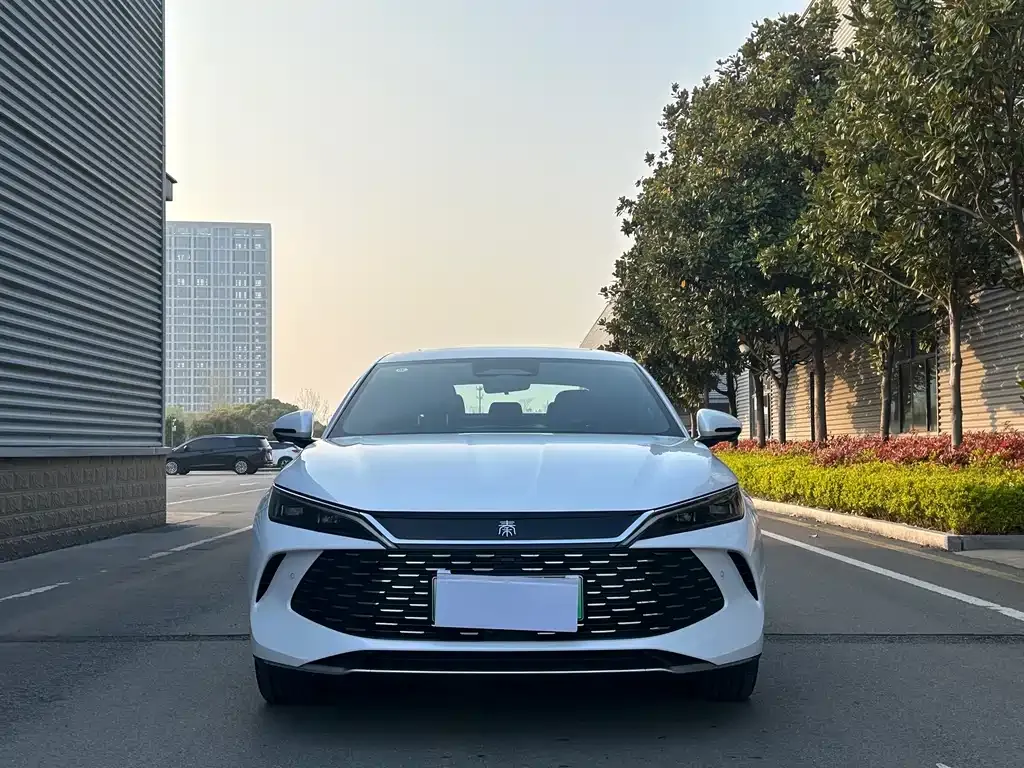 BYD Qin L — фото 4